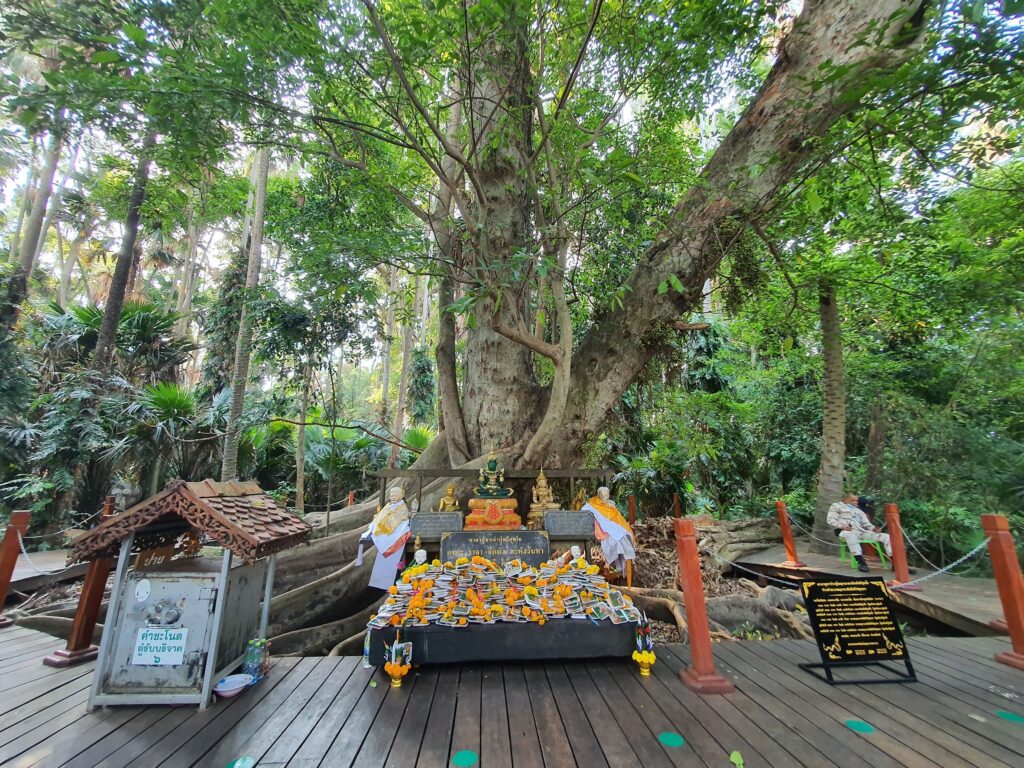 คำชะโนด วังนาคินทร์ อุดรธานี